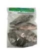 Frozen Tilapia