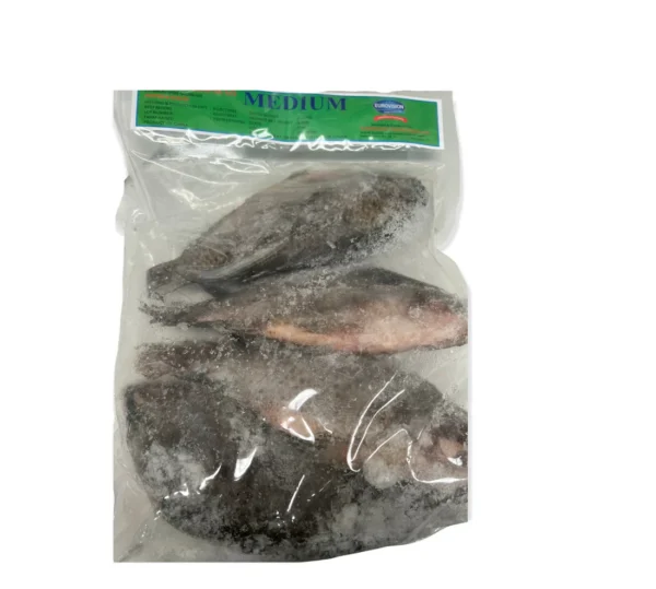 Frozen Tilapia