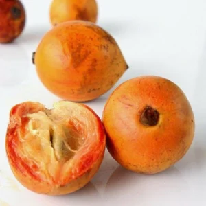 Fresh African Star Apple (Agbalumo/Udara/Mukbang)