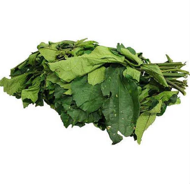 Fresh Ugu Leaves