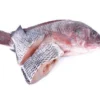 Frozen Tilapia
