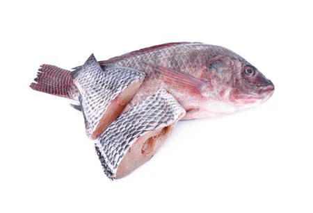 Frozen Tilapia