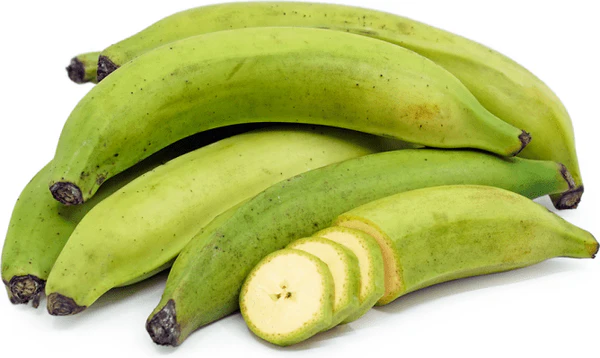 Fresh Green Plantains